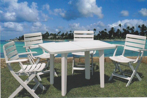 Lisanza Folding Armchair Rovergarden